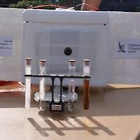 Bild zum Blogeintrag